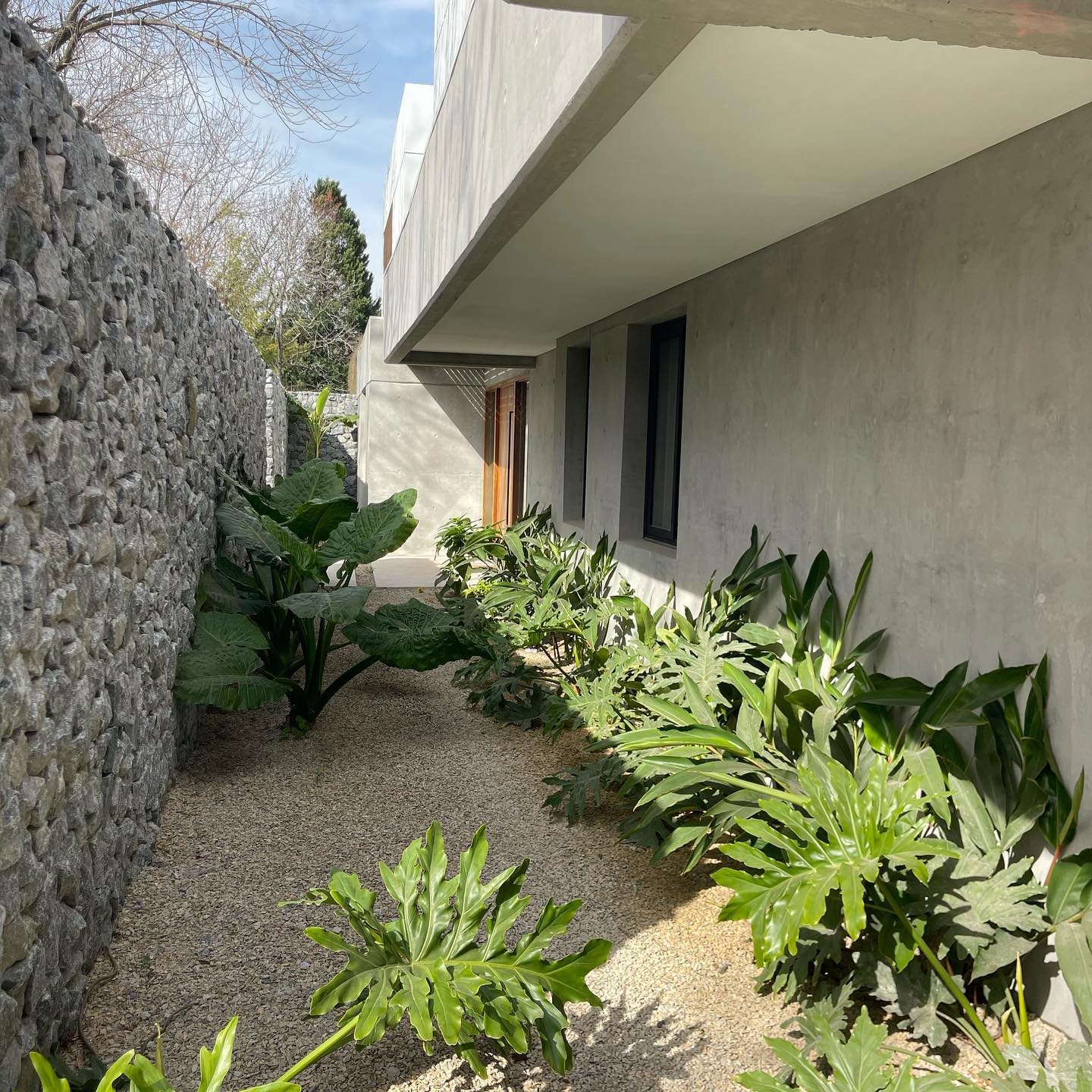 370180016_700043235503295_295572736640358430_n